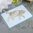 thumbnail image 4 of PetCool Self-Cooling Gel Mat for Dogs & Cats Portable Travel Bed | Instant Heat Relief | Machine Washable | Indoor/Outdoor Use, 4 of 7