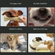 thumbnail image 4 of Hueso Para Perro Mascota, Juguetes Para Masticar, Cuero De Vaca, Hueso, Dientes Molares, Palillo Limpio, Alimentos, Golosinas, Huesos Para Perros, Accesorios Para Cachorros ANGGREK Otros, 4 of 8