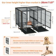 BingoPaw Heavy Duty Metal Dog Crate with Cover, Divider & Tray, 51.5L x 39.3W x 39.3H