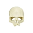 thumbnail image 2 of Skull Aquarium Reptile Hideout Cave, PVC Shelter Terrarium Decor for Turtle Lizard Gecko and Snake, Basking Terrace Hidden Cave for Reptile Tank, Easy Clean Elevated Base Reptile Ornament, 2 of 3