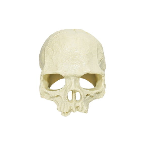 Tdxkok Resin Skull Reptile Hide CaveAquarium Terrarium Shelter OrnamentSpooky Fall Decor Safe Rest Hideout for Turtle Lizard Gecko Snake Tank Landscape Layout