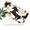 Running Horses, variant on 1 Pcs 2D Flat License Plate Covers & Frames, Running Horses For Decorative Front, Waterproof For Decoration Aluminum License Plate Covers & Frames Cover For Men Women, 12" X 6"