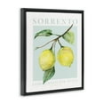 thumbnail image 4 of Stupell Industries Sorrento Lemon Branch Food & Beverage Painting Black Floater Framed Canvas Art Print Wall Art, 17 x 21, 4 of 10
