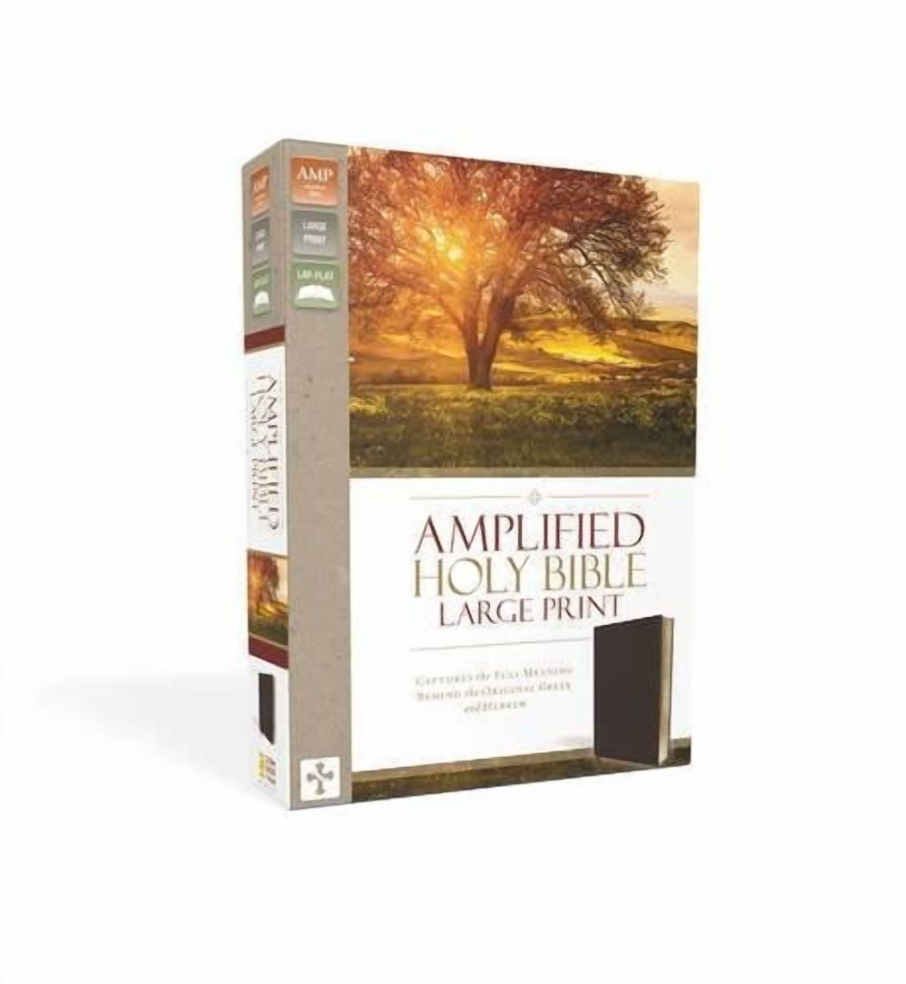 Amplified Bible-Am-Large Print: Captures the Full Meaning Behind