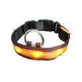 thumbnail image 2 of Collier Lumineux Réglable pour Animaux de Compagnie Randonnée Marche Nocturne Ras du Cou USB Portable Lavable Fournitures pour Animaux Cadeau Orange TG, 2 of 9