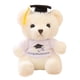 thumbnail image 1 of Yhmxh Oso de peluche con sombrero de graduación, juguete de oso de peluche, regalo conmemorativo de graduación, 1 of 3