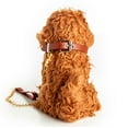 thumbnail image 4 of The Queen's Treasures 18" Doll Pets, Labradoodle Puppy Dog Pet Friend with Leash & Collar, Compatible for Use with American Girl Dolls, 4 of 9