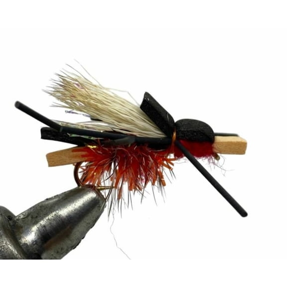 One Dozen (12) - Amy's Ant - Red
