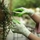 thumbnail image 1 of Guantes de jardinería universales, guantes protectores para plantación al aire libre, 1 of 6