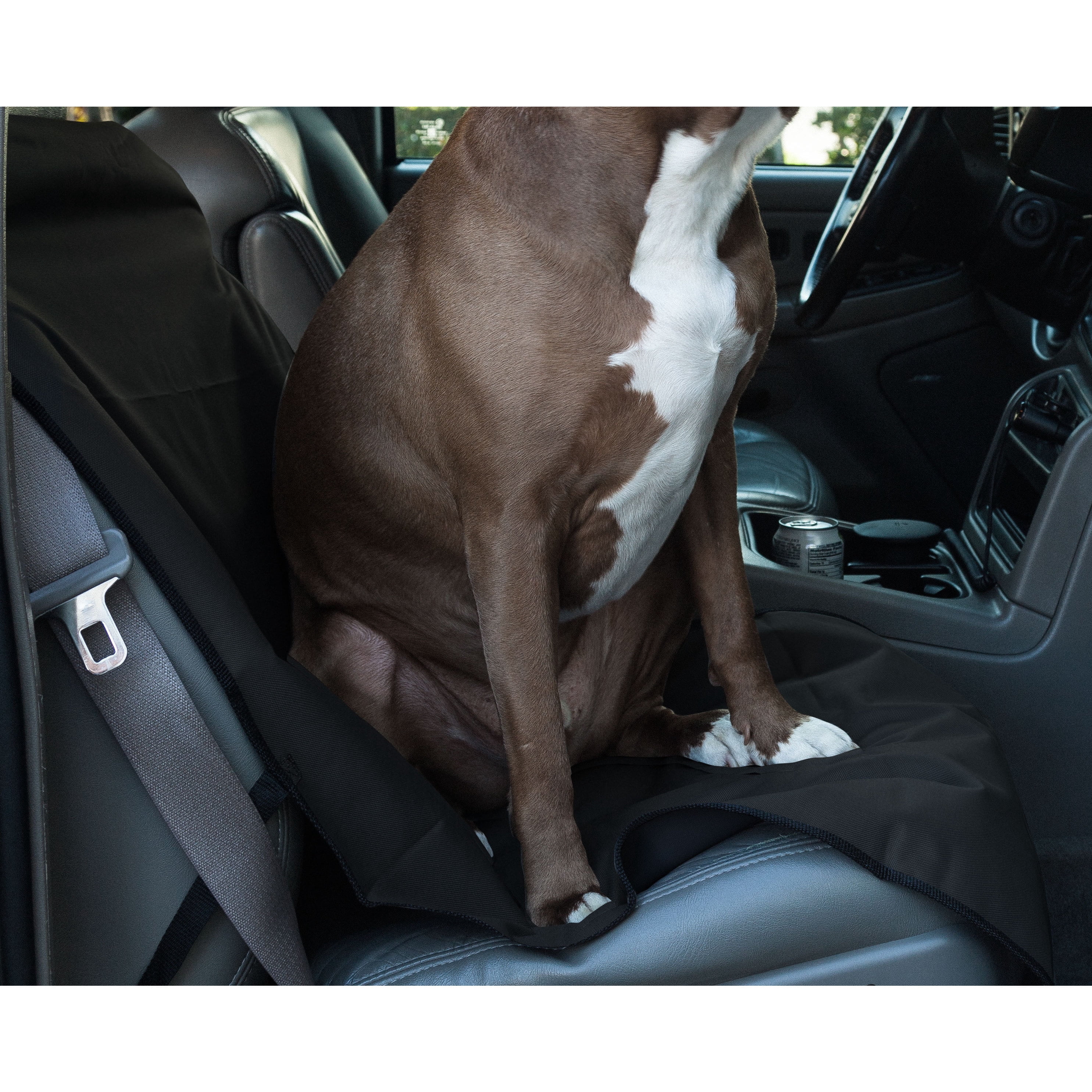 Majestic Pet | Bucket Seat Cover for Dogs and Cats, Universal fit for Cars, Trucks and SUVs, Waterproof, Scratch Resistant, Black