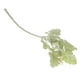 thumbnail image 4 of Artificial Decoración Floral Decoración De De Boda Baoblaze SENECIO CIERRAIA ARTIFICIAL, 4 of 8