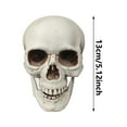 thumbnail image 2 of Mini Skull for Halloween - Horrible Jaw Skeleton Head Prop, Small Skull Figurine for Indoor and Outdoor Halloween Party Decorations and DIY Haunted House Displays, 2 of 7