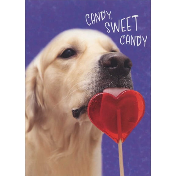 Designer Greetings Dog with Tongue Stuck to Heart Shaped Sucker Funny Valentine's Day Card