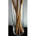 thumbnail image 2 of Libbey Glasswares Floral Cylinder Vase, 1 Each, 2 of 2