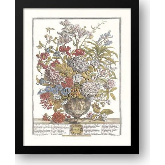 Twelve Months of Flowers, 1730/July 13x16 Framed Art Print by Furber, Robert