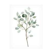 Grace Popp 'Seaglass Eucalyptus II' Canvas Art