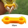thumbnail image 6 of Serenable 10x Chicken Leg Bands Fixing Clips for 1 to 3 Days Old Newborn Chicks Quails 5mmx26mm, 6 of 10