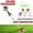 5 in 1 (Red), variant on YNCE 52CC Gas Weed Eater, 2 in 1 Weed Wacker Gas, 2025 Upgraded Gas Powe Weed Eater[New Model Quality Improvement], 2000w 8500rpm Heavy Duty Brush Cutter Ideal for Yard Garden