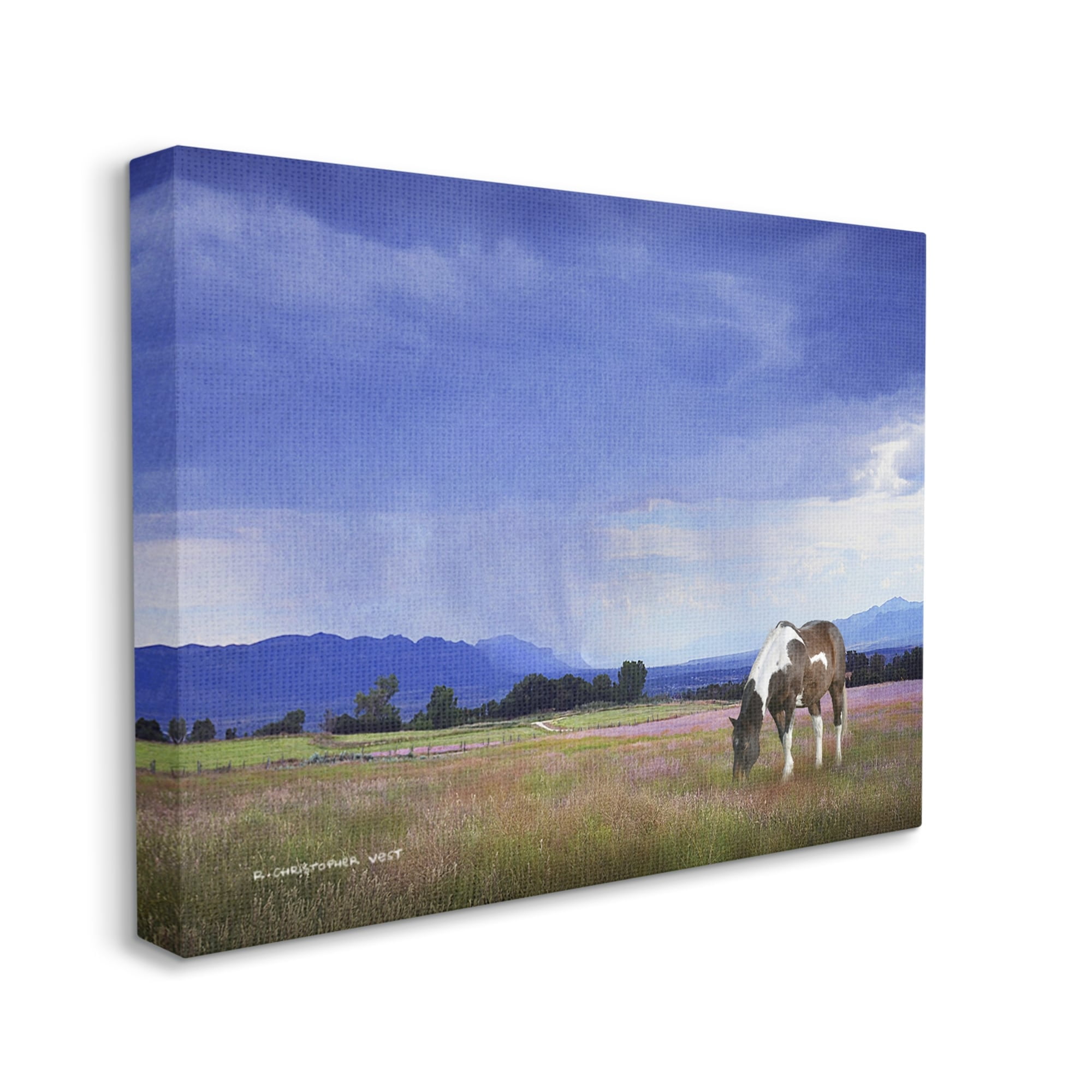 Stupell Spotted Horse Grazing Country Grassland Animals & Insects Photography Gallery Wrapped Canvas Print Wall Art