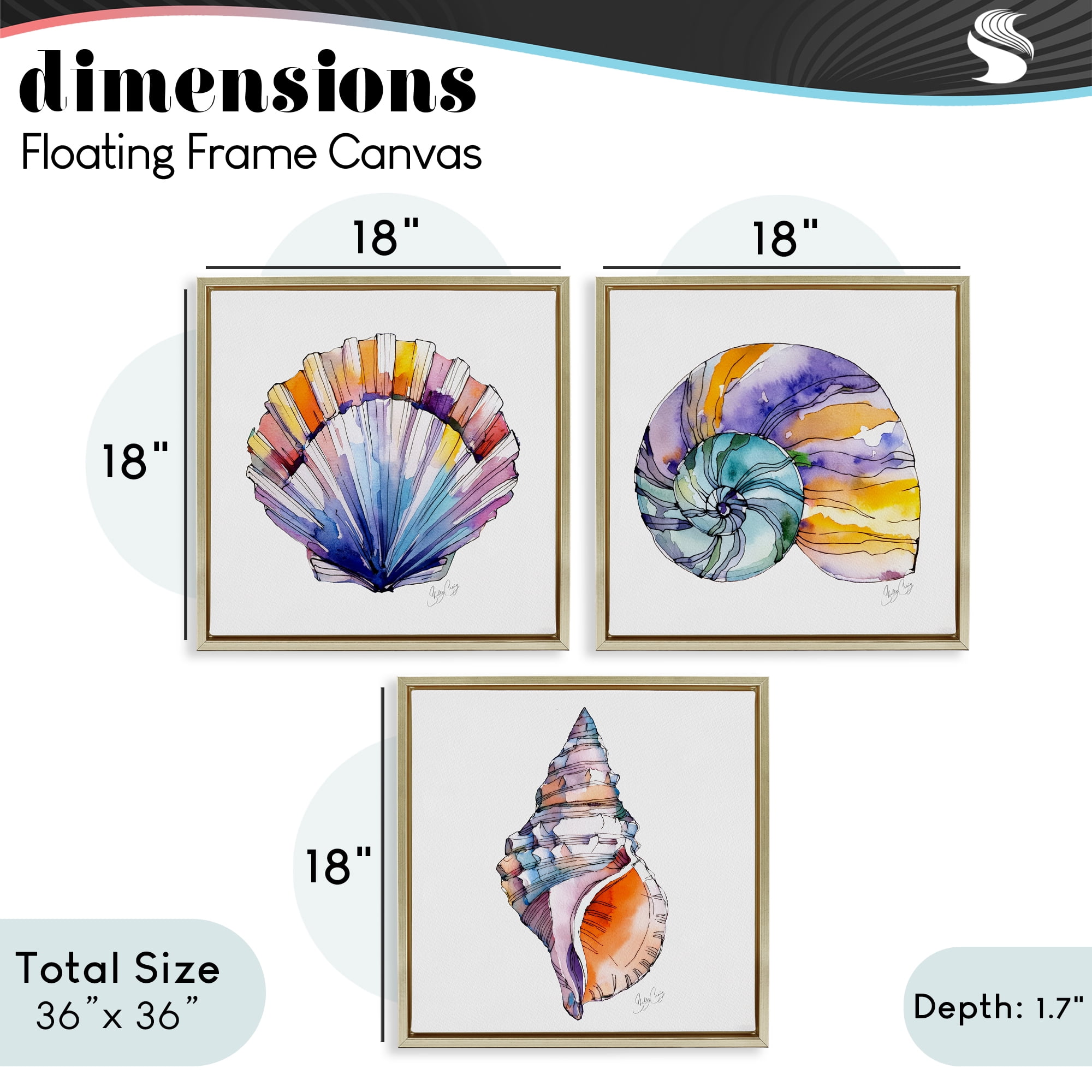 Stupell Industries Sunlit Seashells Watercolors 3 Piece Gold Framed Floater Canvas Set, design by Shelly Craig