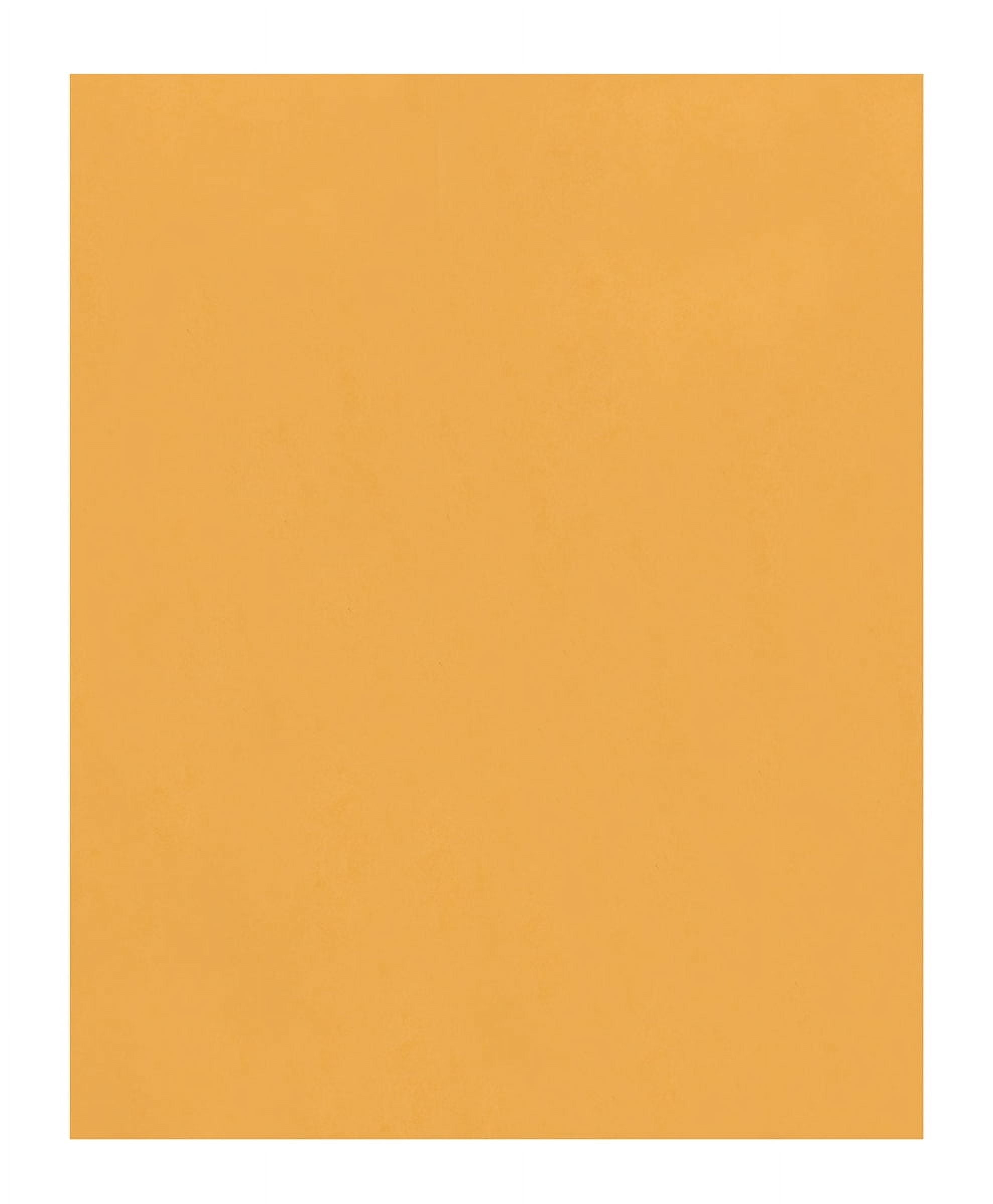 11-1/2 x 14-1/2 Clasp Envelopes, Deeply Gummed Flaps for Permanent Secure Seal, Great for Filing, Storing or Organizing Documents, 28 lb. Brown Kraft, 100 per Box