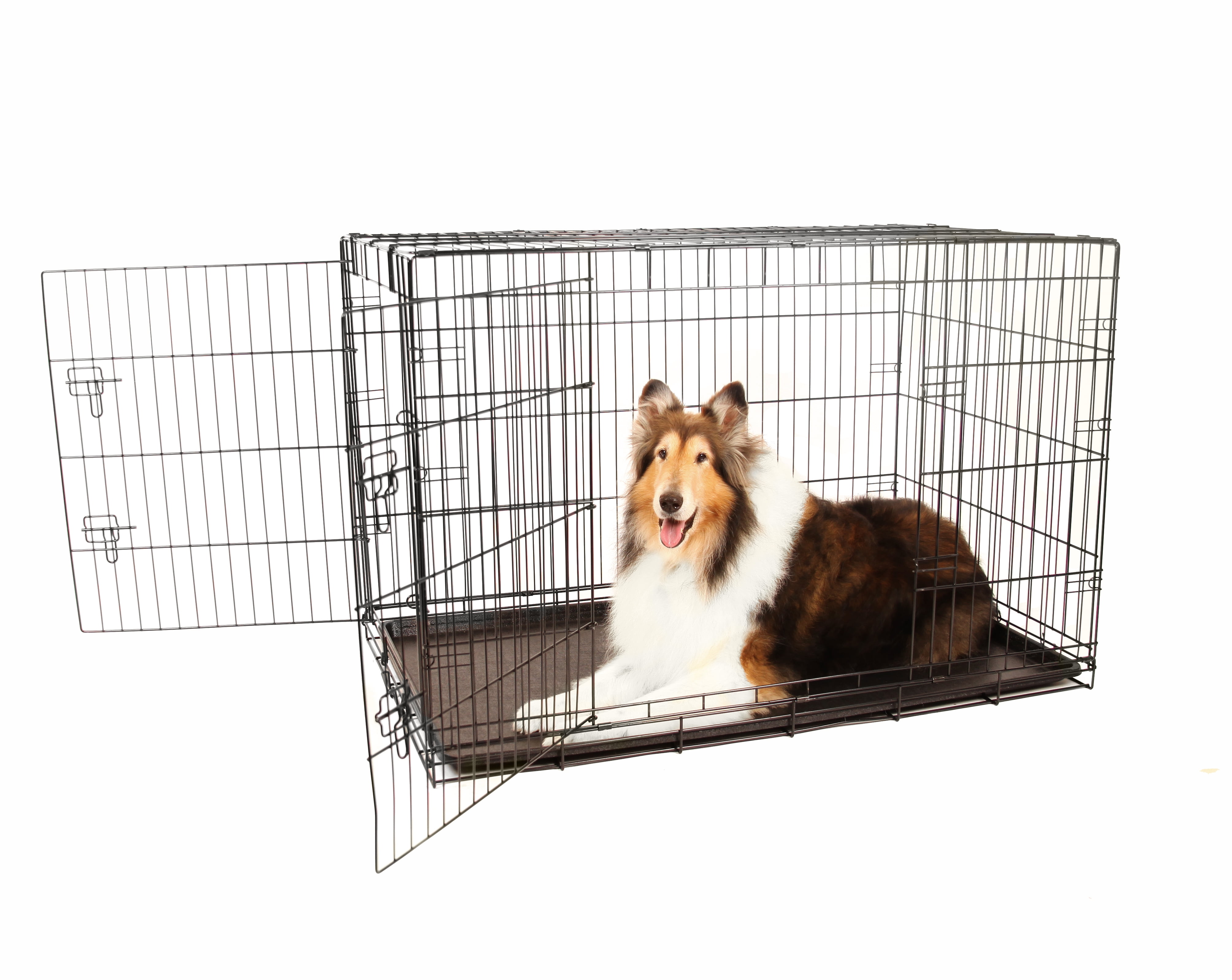 Carlson Compact and Secure Double Door Metal Dog Crate