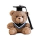 thumbnail image 3 of Lekihaqq Graduation Plush Doll Stuffed Animal Toy Soft Plushie Bear Doll Graduation Cap Doll Commemorative Plush Cute Ceremony Gift For Graduate Student Friend Kid, 3 of 8