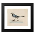 thumbnail image 2 of Ferdinand von Wright 23x20 Black Modern Framed Museum Art Print Titled - White Wagtail, 2 of 5