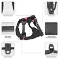 thumbnail image 3 of Naloa Girl Butterfly Pet Harness Vest with Traction Rope, Adjustable No-Choke Dog Vest for Outdoor, Walking - Small, 3 of 4