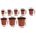 thumbnail image 5 of Kripyery 50Pcs Germination Pot Long Service Life Corrosion Ressistant Durable Flower Germination Pot for Garden, 5 of 7