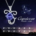 thumbnail image 2 of Hipunk Capricorn Zodiac Necklace December Birthstone Necklace Tanzanite Pendant 925 Sterling Silver Jewelry Christmas Birthday Gifts for Women, 2 of 8