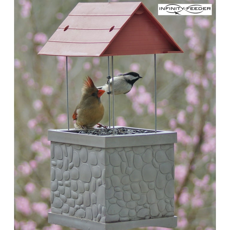Infinity Bird Feeder - Wild Bird Feeder with 360 Degree View of Feeding Birds Infinity Bird Feeder - Wild Bird Feeder with 360 Degree View of Feeding Birds