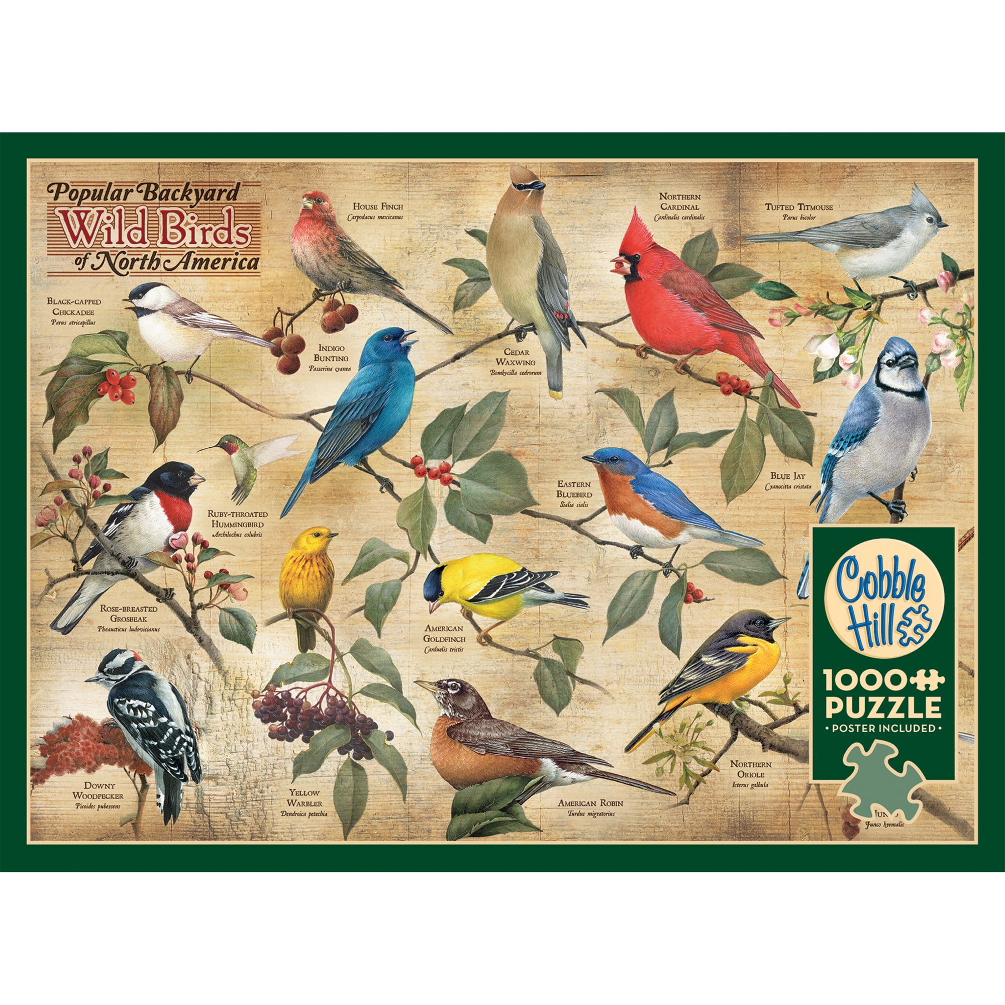 Cobble Hill 1000 Piece Hummingbirds Puzzle – Includes Bonus Poster, Made In USA - View #3