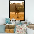thumbnail image 3 of Designart 'African Giraffe In The Wildlife II' Farmhouse Framed Art Print, 3 of 4