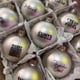 thumbnail image 1 of 2024 Sweary Christmas Baubles, Set of 12, Fun & Offensive Tree Ornaments, 1 of 4