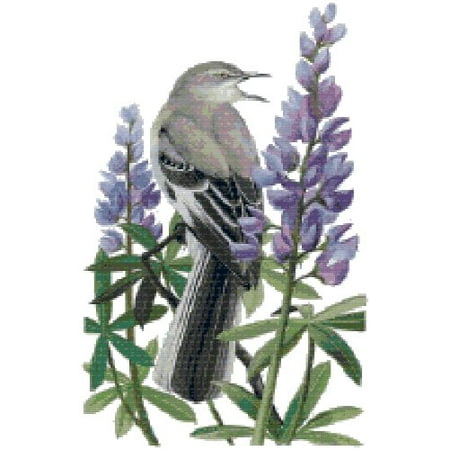 texas state bird and flower northern mockingbird and bluebonnet