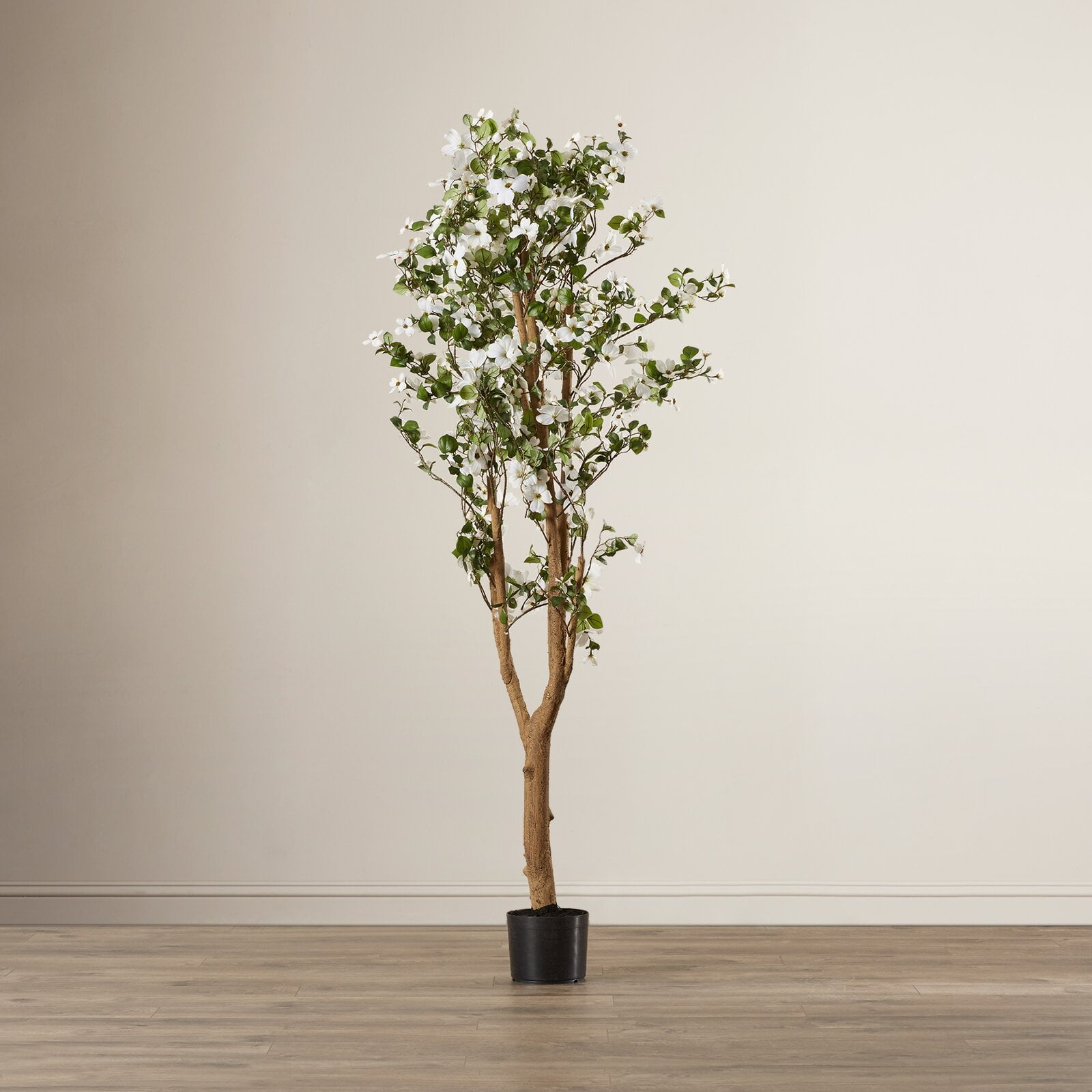 Silk Dogwood Tree in Pot