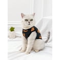 thumbnail image 3 of Pet Brown Teddy Bear Vest, 3 of 4