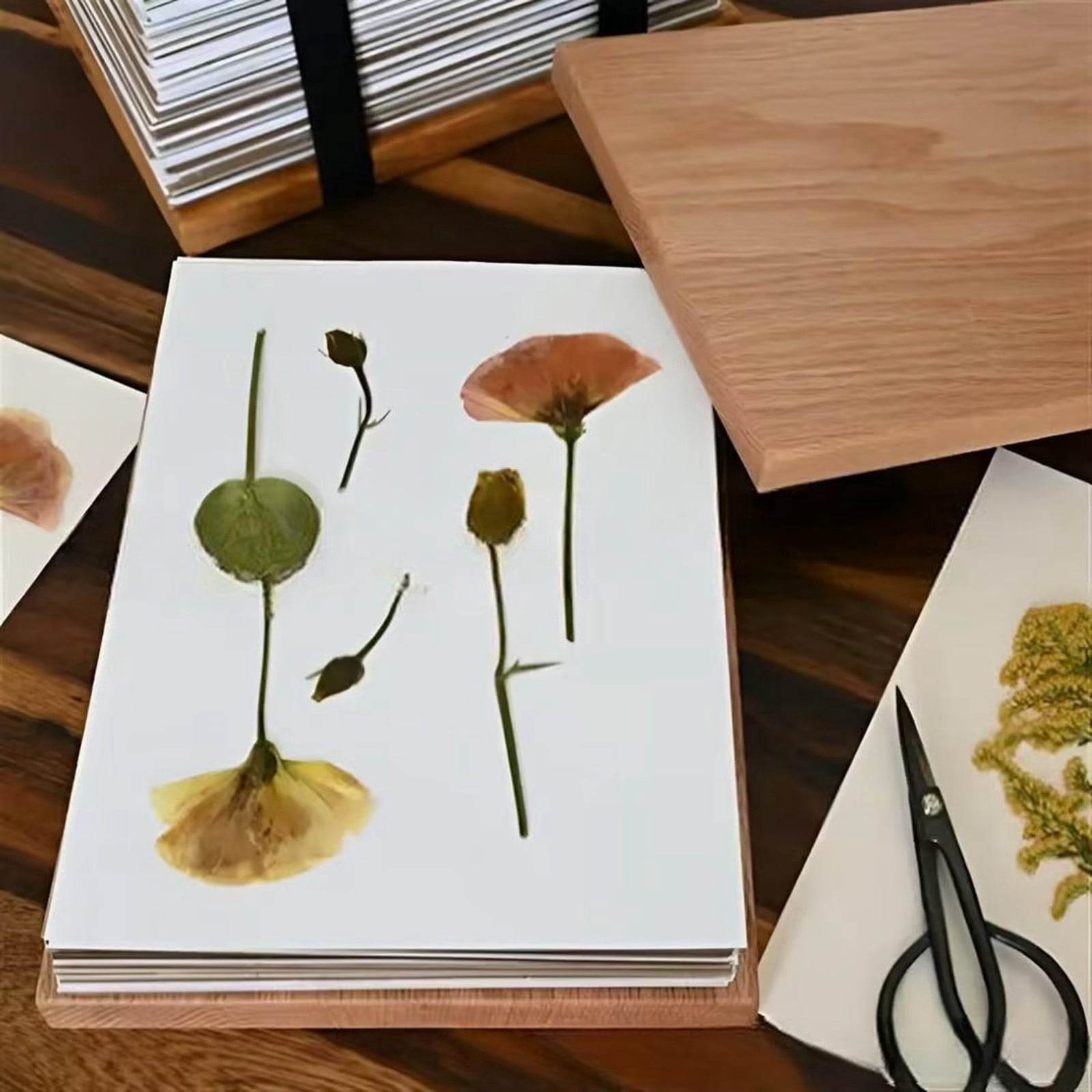 Hardwood Flower Kit DIY Pressed Flower Kit For Crafts And Home Ideal For Nature & Craft Lovers Crafts for Girls Ages 8-12 Arts And Crafts for Kids Ages 8-12 Craft Organizers And Storage Easter Crafts