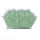 thumbnail image 2 of 1 yarda de plumas de avestruz, plumas de avestruz, fiesta de disfraces para ropa, Verde claro, 2 of 7