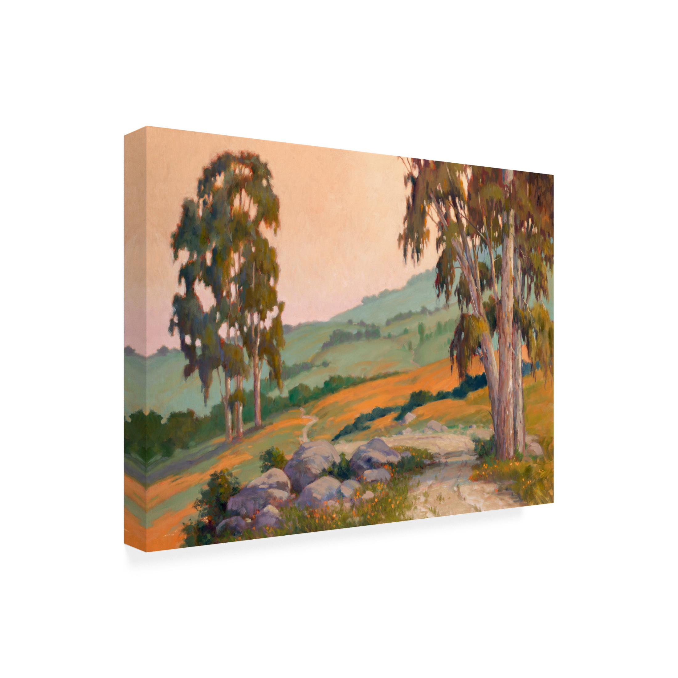 Canvas Wall Art - Ed Penniman 'Poppy Hill Path' Wall Art for Living Room, Bedroom, or Office Décor by Trademark Fine Art - 47 x 35 Inches