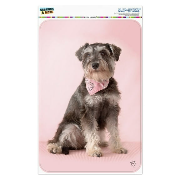 Schnauzer Puppy Dog with Bandana Sitting Home Business Office Sign