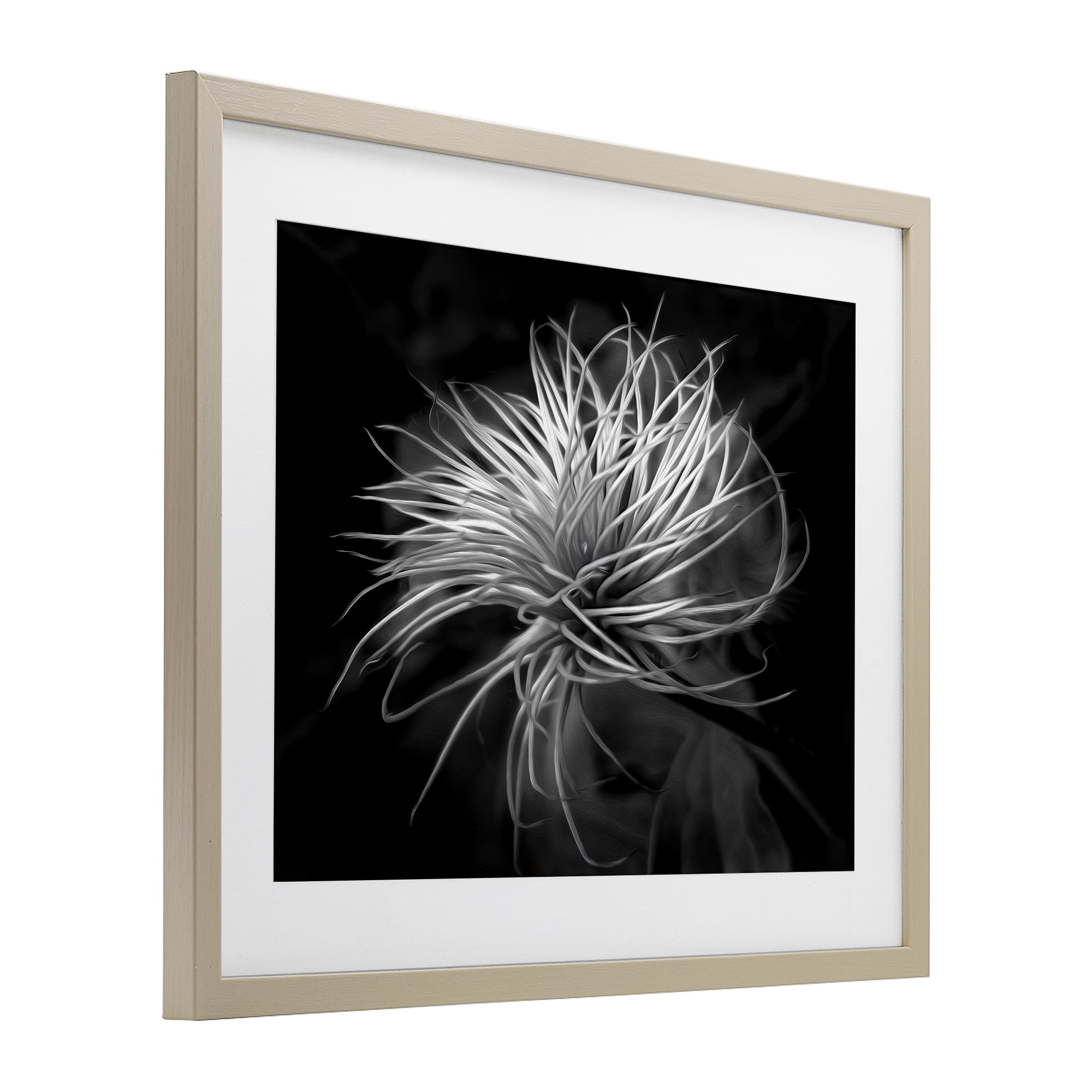 Twisting Botanical Leaves Contrast Birch Framed Print Under Glass, design by Phillip Flowers