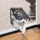 thumbnail image 1 of Puerta para mascotas PETLESO para puerta mosquitera para gatos y perros pequeños, 9,4 x 11,4 cm, 1 of 6