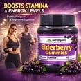 thumbnail image 2 of HERBOGANIC Elderberry Gummies, Daily Immune Support for Kids and Adults for overall health and wellness pack of 60, 2 of 8