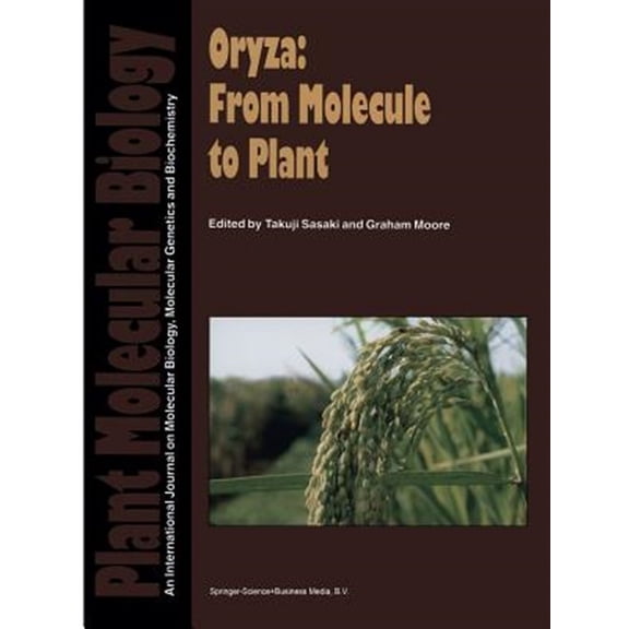 Pre-Owned Oryza: From Molecule to Plant, (Paperback)