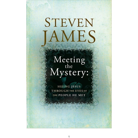 Meeting the Mystery : Seeing Jesus through the Eyes of the People He Met (Paperback)