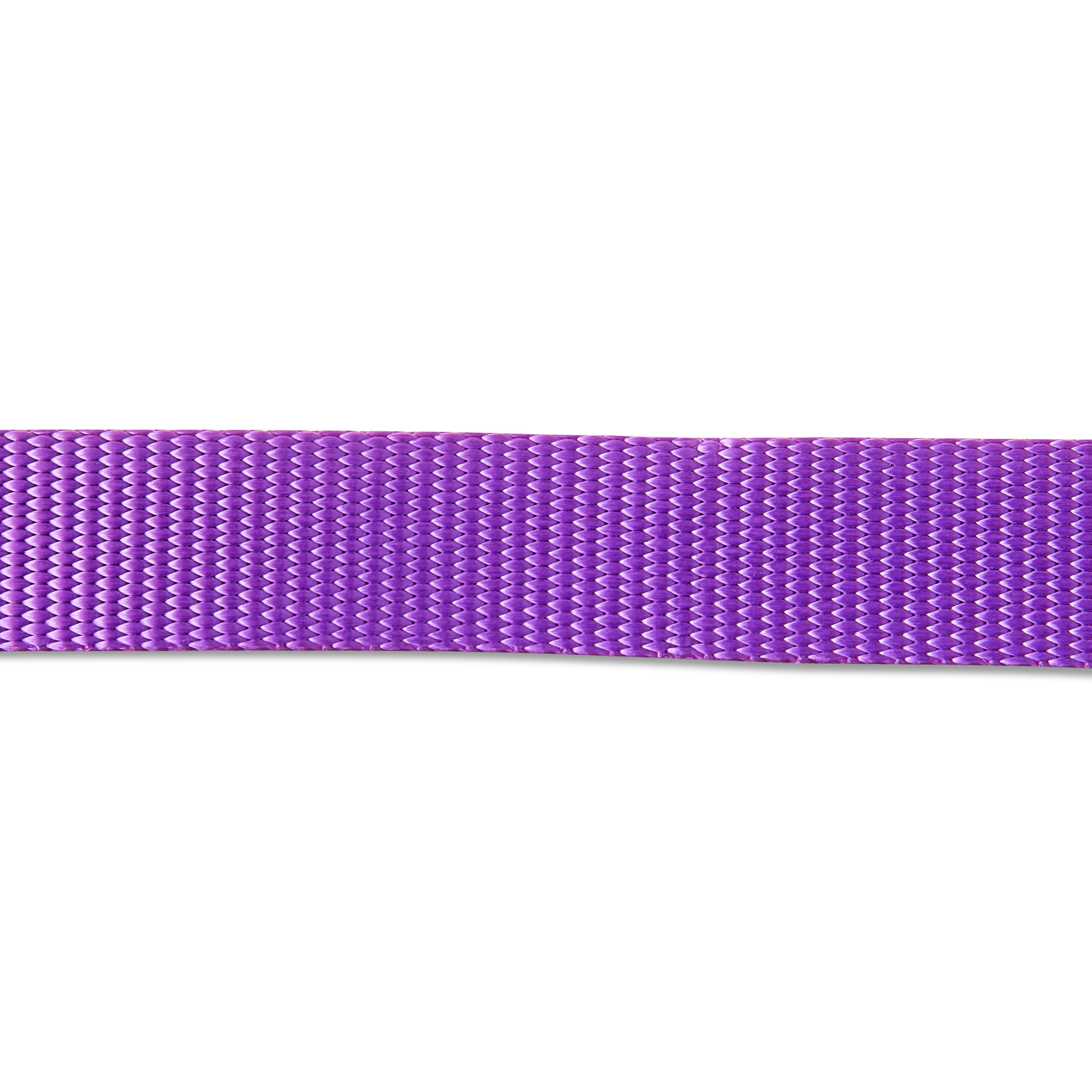 Vibrant Life 4' Polyester Standard Dog Leash, Purple