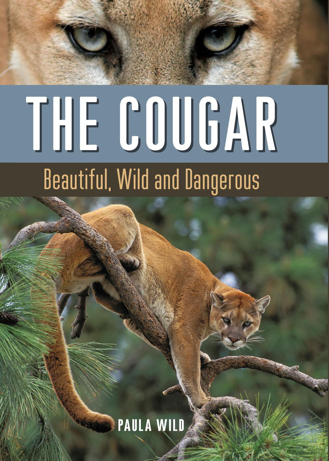 Beautiful Cougar Pics