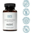 thumbnail image 7 of Weyland Brain Nutrition - EGCG - Green Tea Extract Supplement, 400 mg, 100 Vegetarian Capsules, 7 of 7